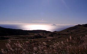 稲取温泉細野高原