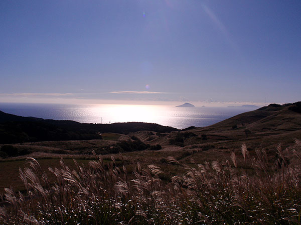 すすきフォトコンテスト