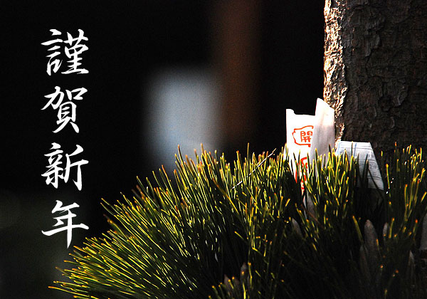 新年明けましておめでとうございます