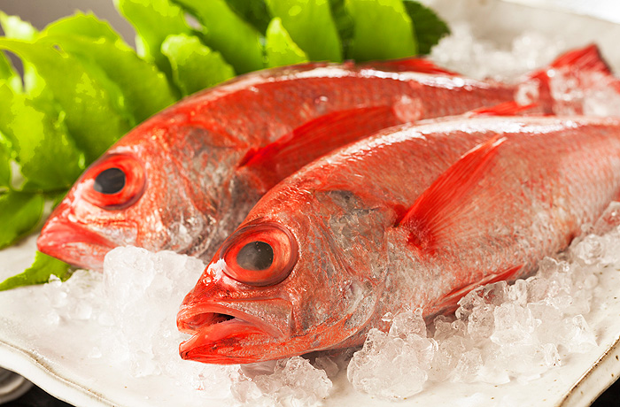 幻の高級魚「のど黒」