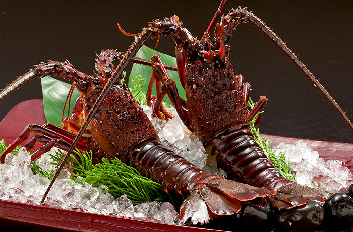 伊勢海老解禁！秋の伊勢海老まつりのご案内