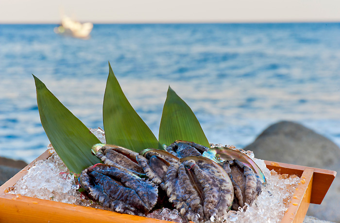 遂に登場！鮑三昧プラン