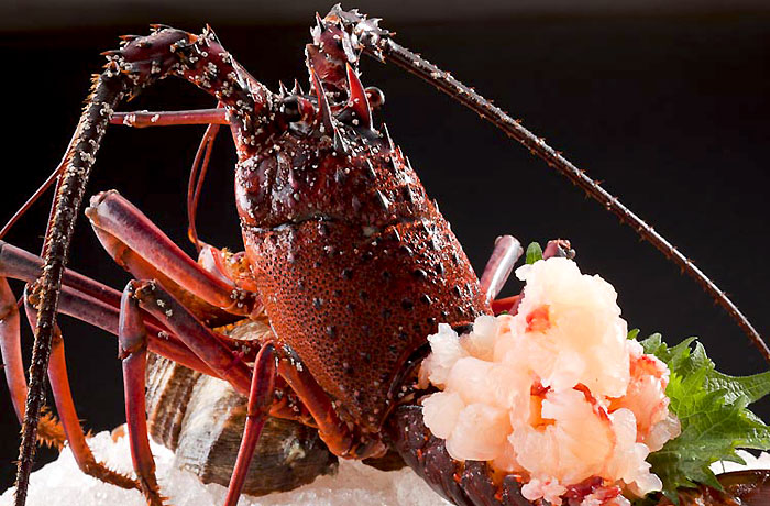 伊勢海老のお造り