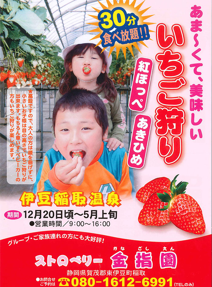 いちご狩り　金指園