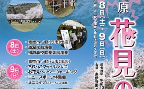 稲取高原 花見の宴
