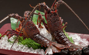 伊豆の伊勢海老