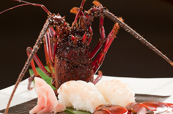 春の特別料理　伊勢海老の頭付きにぎり