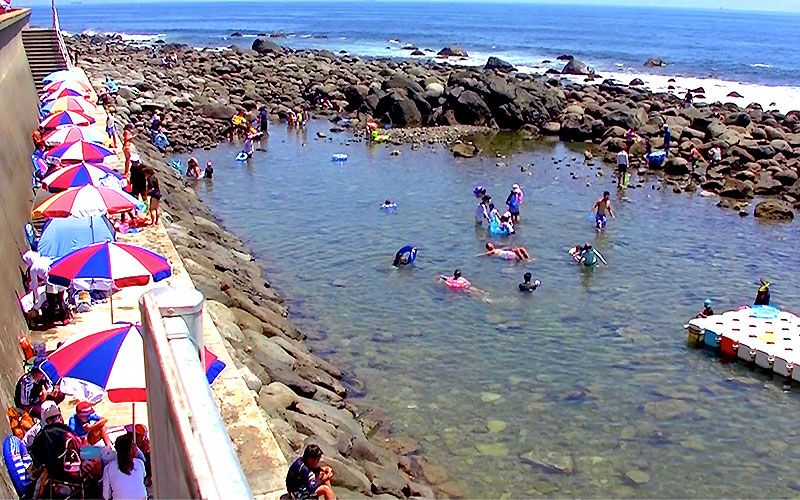 サザエ・アワビのつかみどり大会