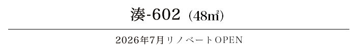湊-602